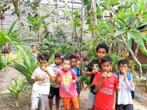Learning Centers in Bedulu, Bali Bedulu heeft nu een nieuw project gelanceerd. De wens is om een eigen duurzame, biologische tuin te creëren, naast het terrein van de Learning Center. Hiertoe was ca.