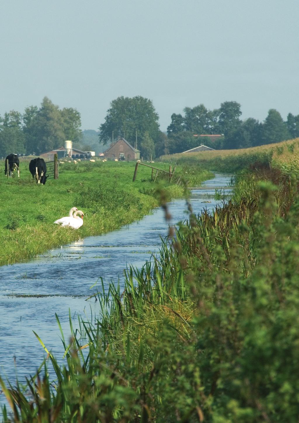 Landbouwpraktijk en waterkwalite Landbouwpraktijk en waterkwaliteit op