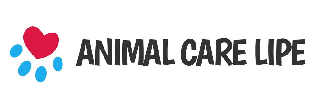 Stichting Animal Care Lipe Des Presstraat 18H 1075NZ Amsterdam Ingeschreven in het Handelsregister van de Kamer van Koophandel onder nummer 64292797 RSIN: 855602867 Beleidsplan Ten behoeve van