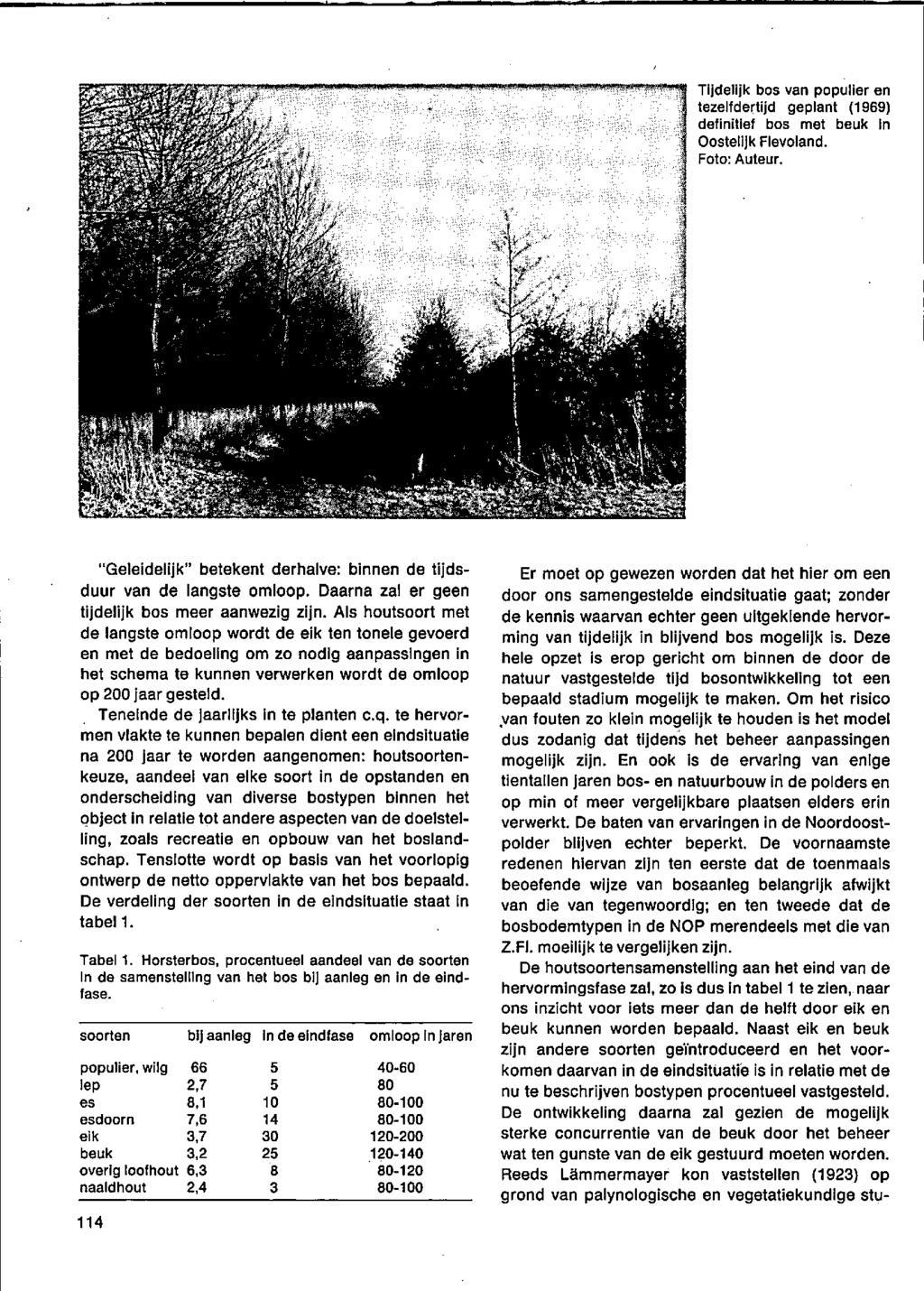 Tijdelijk bos van populier en tezelfdertijd geplant (1969) definitief bos met beuk In Oostelijk Flevoland. Foto: Auteur. "Geleidelijk" betekent derhalve: binnen de tijdsduur van de langste omloop.