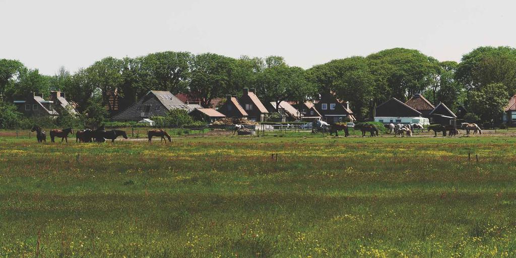 Verhuurservices Dutchen heeft zich de afgelopen jaren gespecialiseerd in de verhuur van luxe villa s en kleinschalige parken aan de Nederlandse kust en op De Wadden.