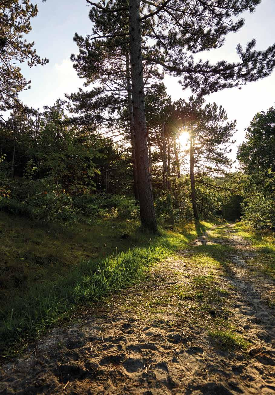 park ligging in het centrum van Schoorl, direct aan de duinrand Het idyllische dorpje Schoorl bevindt zich direct aan de rand van het hoogste en breedste duingebied langs de Nederlandse kust: