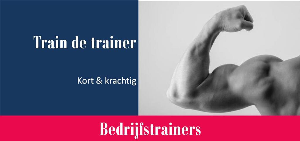 Samenvatting In de training Train de trainer Kort en krachtig leer je belangrijke didactische uitgangspunten waarmee je anderen kunt helpen bij het leren.