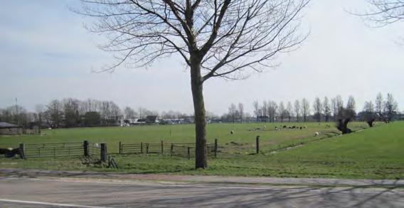 Langs de Hilsdijk wordt niet gebouwd zodat het karakter van weg langs het buitengebied blijft bestaan. Beide nieuwe kavels worden ontsloten vanaf de Schipsweg, elk met één toegang.