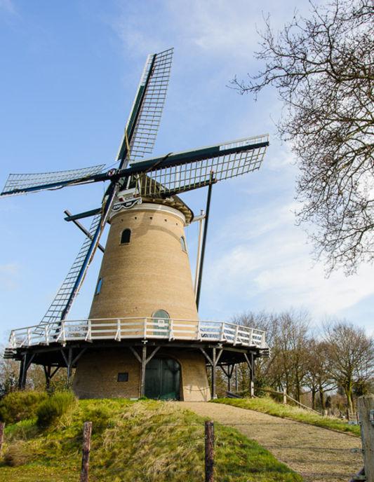 Ook zijn er grote, populaire steden zoals Utrecht, Amersfoort en Hilversum.