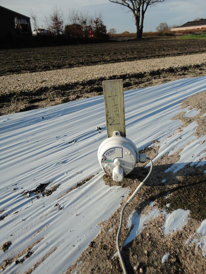 - Veel water nodig goede aanvoer belangrijk - Hoge kosten per hectare 2.4.