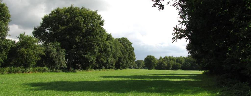 Een bijzonder Gervens perceel: Eerdbergen Vormen in een eeuwenoud landschap Peter Bijvank Aan de westkant van de middeleeuwse kampontginning Gerven in Putten ligt een eigenaardig gevormd perceel met