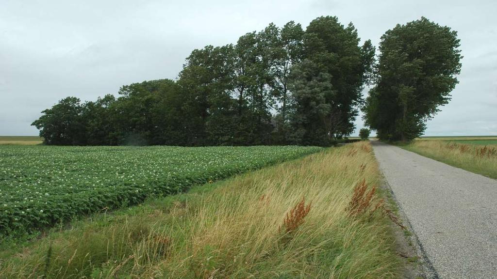 Sociaal-culturele beeld van het Waddengebied al even versnipperd.