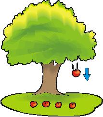 Kracht 5 Welke krachten werken er op de vallende appel? (verwaarloos luchtweerstand) Alleen zwaartekracht.