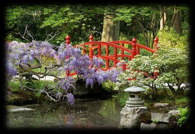 Wandelend over de paadjes en bruggetjes ontdek je niet alleen prachtige bloemen en planten, maar ook speciale Japanse symbolen.