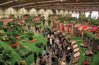 Floraliën een echt bruisend stadsfestival!