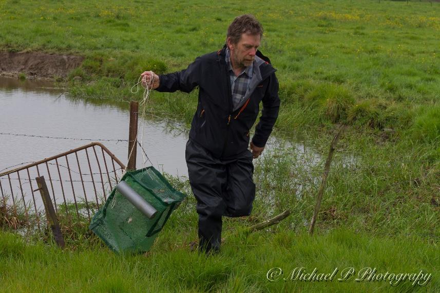 Dit wordt gedaan om de verspreiding van ziektes van de ene poel naar de andere te