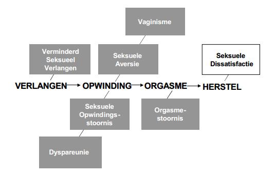 Figuur 1. Model van een seksuele respons (naar Masters, Johnson & Kaplan).