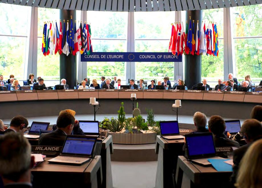 ORGANISATIESTRUCTUUR Naast het Europees Hof voor de rechten van de mens telt de Raad van Europa nog verschillende andere instanties.