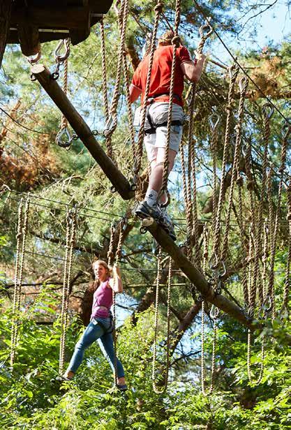 Avontuurlijk parcours Hoog tussen de Brabantse bomen is een avontuurlijk parcours met wel vijftig hindernissen uitgezet.