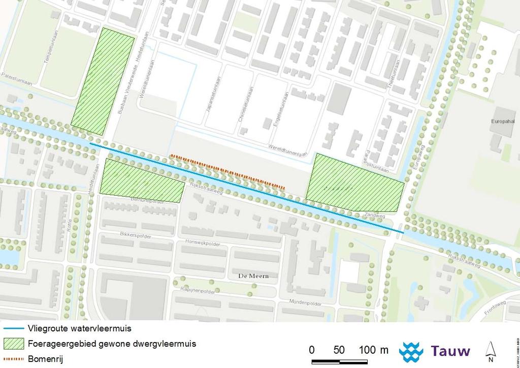 Figuur 3.1 Resultaten vleermuisonderzoek. Enkel buiten het plangebied zijn foerageergebieden vastgesteld. Het kanaal fungeert als belangrijke vliegroute voor de watervleermuis 3.