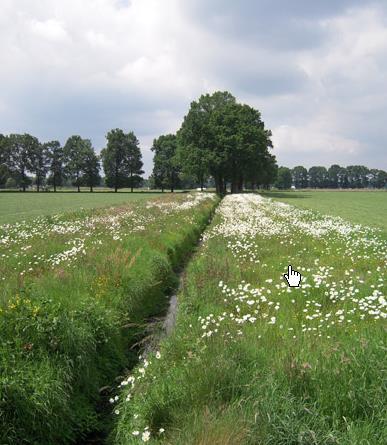 Aangeven als AKR bij gespecialiseerde