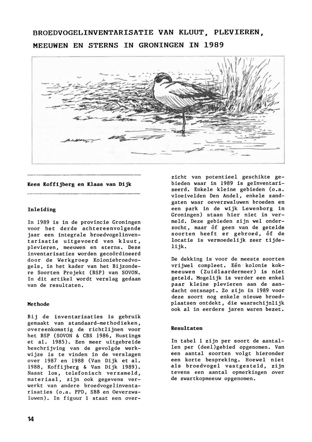 Broedvogelinventarisatie van kluut, plevieren, meeuwen en sterns in Groningen in 989 staat een overzicht van potentieel geschikte ge Kees Koffijberg en Klaas van Dijk bieden waar in 989 is