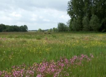 Landschapsherstel en