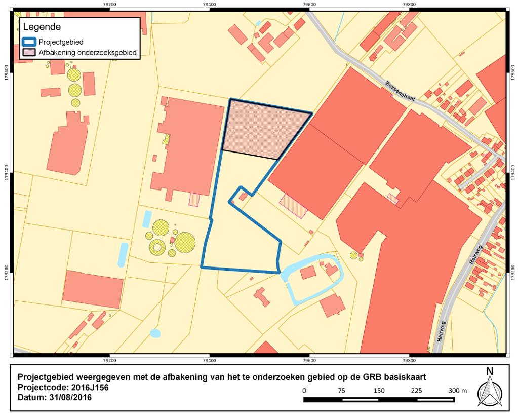 Figuur 1: Aanduiding onderzoeksgebied op de GRB- kaart (bron: Geopunt) 2.2 Synthese De initiatiefnemer wenst het bestaande bedrijf uit te breiden door een nieuw productiegebouw te realiseren.