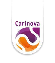 Zoekprofiel Directeur Carinova Services