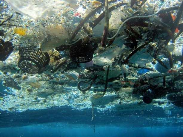 GEVOLGEN VOOR DE MAATSCHAPPIJ Plastic soep en andere