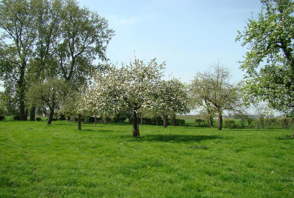 3.5. Landschapselementen (huidige situatie) In alle 1:1 begrensde agrarische beheergebieden van de EHS bestaat de mogelijkheid voor gesubsidieerde aanleg en beheer van landschapselementen.