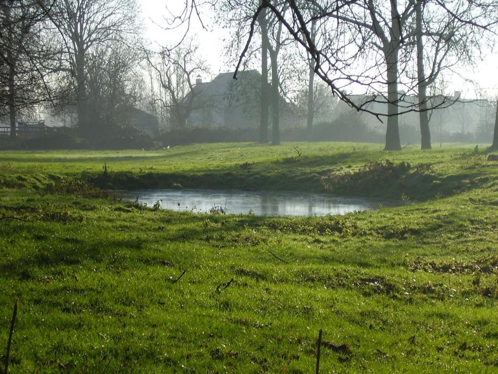 De volgende SNL pakketten landschapspakketten zijn opengesteld: * L01.01.01a Oppervlakte poel < 175 m2 * L01.01.01b Oppervlakte poel > 175 m2 * L01.02.01 Houtwal en houtsingel * L01.02.02 Hoge houtwal * L01.