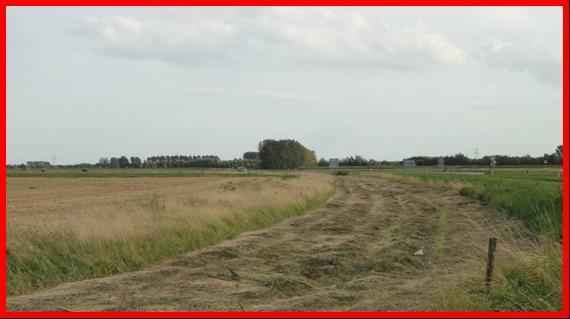 Bijlage 1.2 Kwaliteit akkervogelgebieden Het akkerrandenbeheer zal de komende jaren worden gericht op het bereiken van de gewenste kwaliteit.