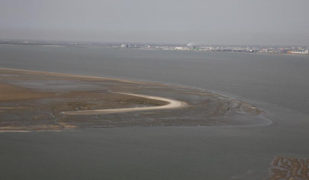 7-Eilandenplan 38 HOOGE SPRINGER (WESTERSCHELDE MIDDEN) Doelsoorten: dwergstern, visdief, kokmeeuw, zwartkopmeeuw en in een later stadium voor kleine mantelmeeuw en zilvermeeuw en lepelaar.