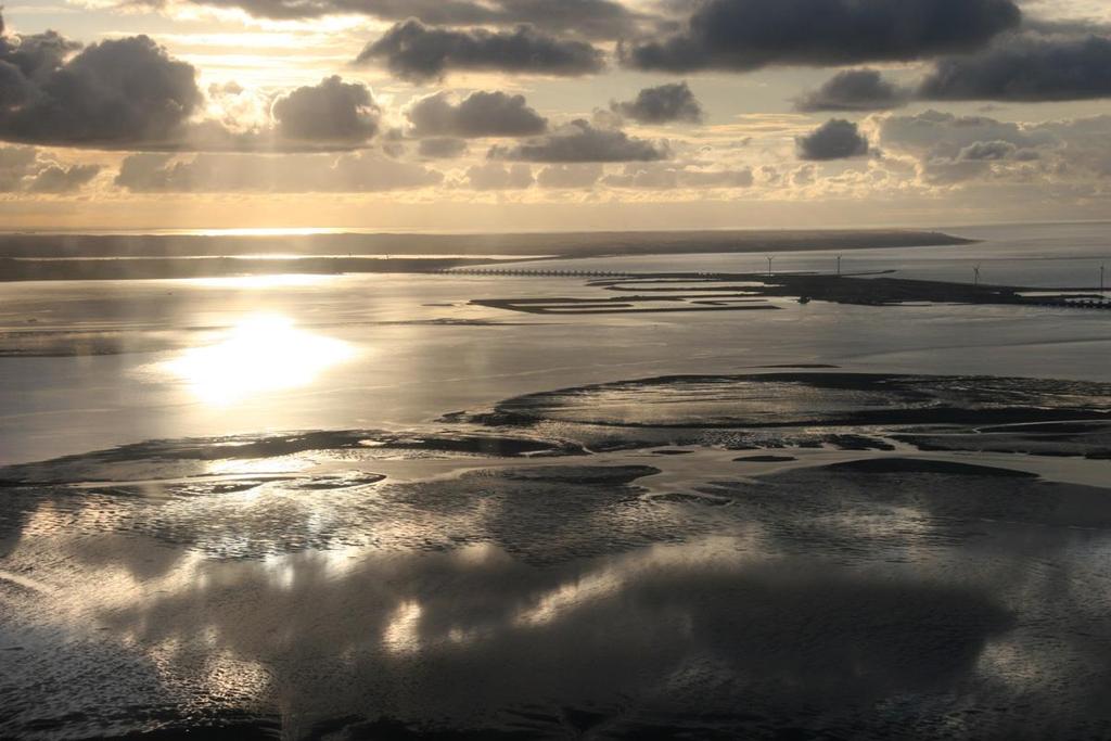 45 ROGGENPLAAT (OOSTERSCHELDE WEST) Doelsoorten: grote stern, dwergstern, visdief en kokmeeuw. Locatie Het betreft met laagwater een groot eiland in het westen van de Oosterschelde.