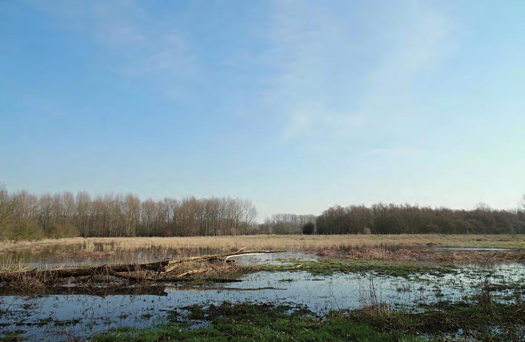 Walk for Nature Linter 23 april 2017 G P 2042 Riviersysteem met robuuste natuur en aaneengesloten natuurcomplexen: een eldorado voor biodiversiteit en een stevige klimaatbuffer De Walk