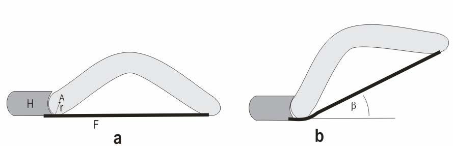 de grote teen wordt beweeglijk verondersteld. De a. Schematische voorstelling van de hallux (H), rest van de voet wordt opgevat als een starre staaf. os metatarsale I (M) en de fascia plantaris (F).