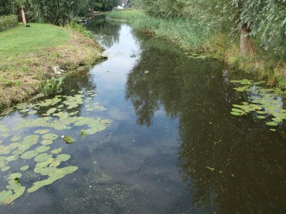 In het noordelijke deel van het waterlichaam is het water een stuk smaller, hier is voornamelijk vanuit de boot met een elektroaggregaat is gevist.