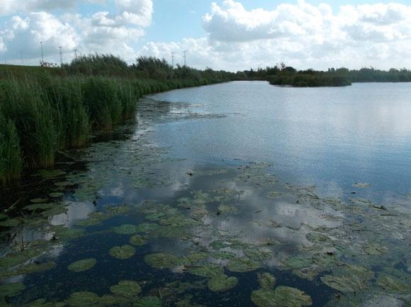 1 Verloop bemonstering De bemonstering van dit waterlichaam is op 29 augustus en 3 september uitgevoerd waarbij op zes verschillende locaties is gevist.