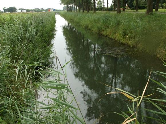 De overige trajecten zijn geheel vanuit de boot met een elektroaggregaat bemonsterd.