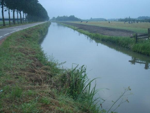 Tijdens de bevissing is op enkele plaatsen een aantal grote vissen ontsnapt, vermoedelijk (gras)karper en grote roofbleien.