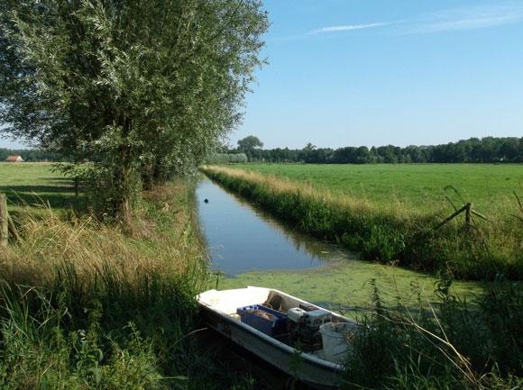 1 Verloop bemonstering De bemonstering van dit waterlichaam is op 23 juli uitgevoerd waarbij op zes verschillende locaties is gevist.