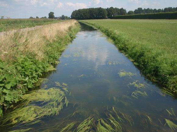 1 Verloop bemonstering De bemonstering van dit waterlichaam is in begin augustus uitgevoerd waarbij op zes verschillende locaties is gevist.