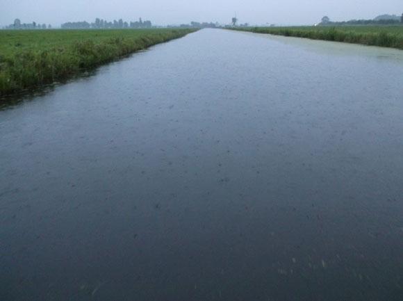 In het oostelijk deel van het water zijn de watergangen een stuk smaller, hier is voornamelijk vanuit de boot met een elektroaggregaat bemonsterd.