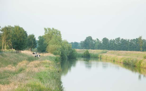 Waterbericht is een uitgave van het Regionaal Bestuurlijk Overleg Rijn-Oost Rijn-Oost omvat de provincies Overijssel en Flevoland, het zuidwestelijk deel van Drenthe, een klein deel van Utrecht, en