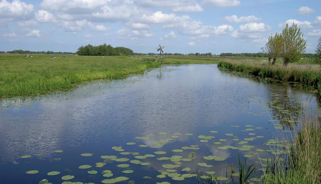 NATUURBEHEERPLAN 2016