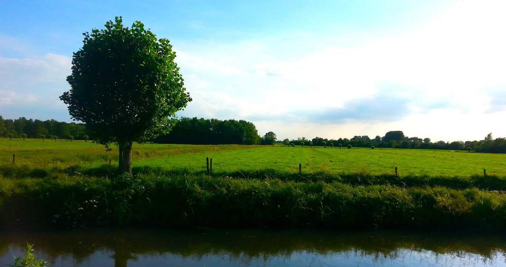 Ambitie landschap Binnen de winterdijken zijn de uiterwaarden open en komt er met name natuurlijke, riviergebonden beplanting voor.