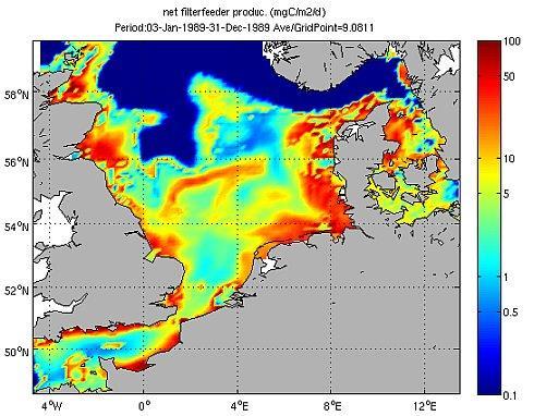Figuur 3.24 Output van het ERSEM model (NIOZ). De bovenste kaart toont de voedselbeschikbaarheid voor filtrerende bodemdieren, de onderste voedselbeschikbaarheid voor pelagische vis.