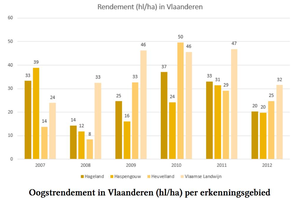 Het gemiddelde oogstrendement in Vlaanderen is ongeveer 29 hectoliter of ongeveer 3867 flessen wijn per hectare.