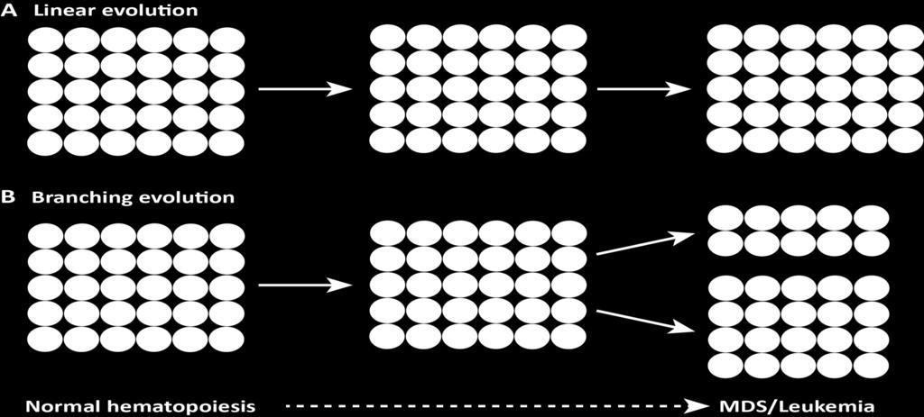 Symbols indicate a specific (set