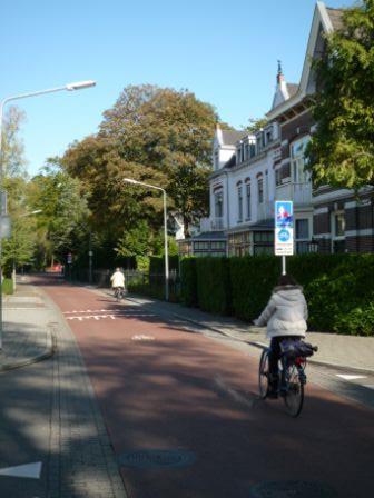 basisopzet Een gewone bebouwde straat geschikt maken om intensief fietsverkeer te verwerken, terwijl voetgangers en