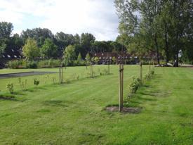 2012 32: Boomgaard op centrale grasveld Bomen dood door verdrinking Ondergrond laat