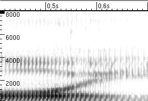 De frequenties met de hoogste intensiteiten heten formanten en bijvoorbeeld de afstand tussen de twee laagste formanten is een belangrijk kenmerk om klinkers te onderscheiden.