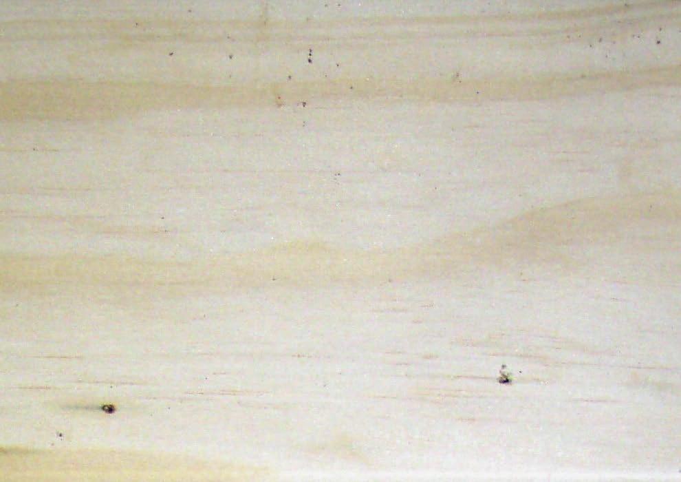 Louisiana State University (LSU) heeft met formosaanse termieten een keuzetest van 99 dagen uitgevoerd met onbehandeld Radiata pine en hout (planken van 5 x 1 cm).